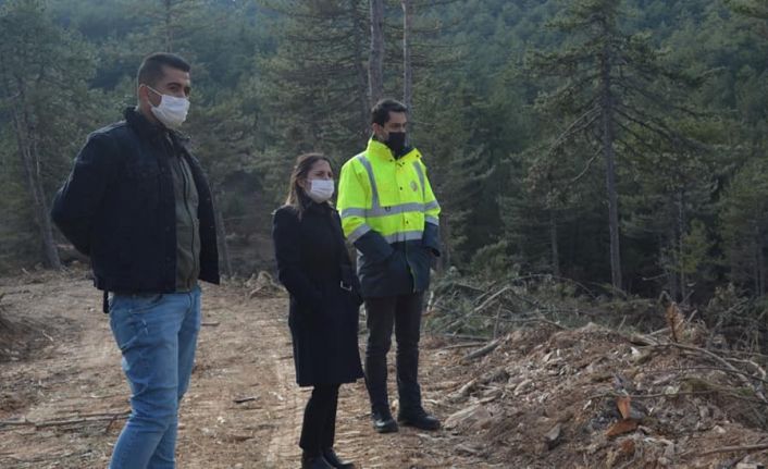 Kaymakam Yazıcı orman tensil çalışmalarını inceledi