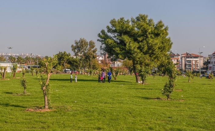 Kepez , moloz alanı yeşil  bahçeye dönüştürdü