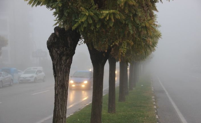 Manisa güne sisle uyandı