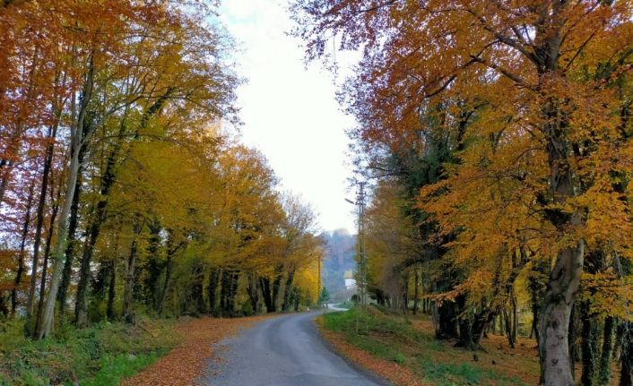 Ordu’da kartpostallık kareler