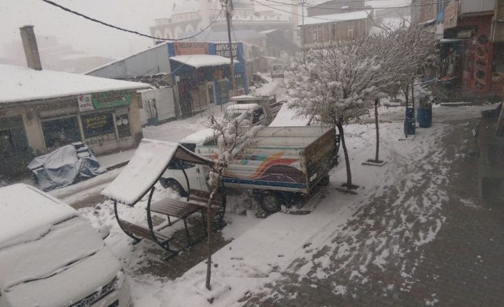 Özalp ilçesinde kar yağışı