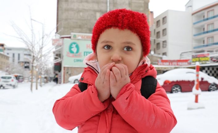 Van’da 3 aylık kar esareti başladı