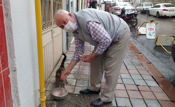 73 yaşındaki gurbetçi sokak hayvanlarını besliyor