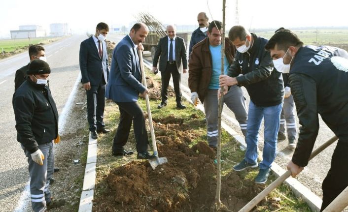 Araban’da ağaçlandırma çalışmaları