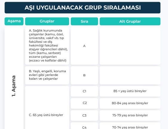 Covid-19 aşısı olacak grupların sıralaması belli oldu