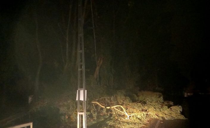 Dörtyol’da fırtına ve yağış çatıları uçurdu ağaç dallarını kopardı