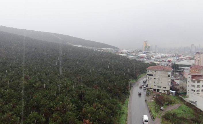 İstanbul’da kar yağışı havadan görüntülendi