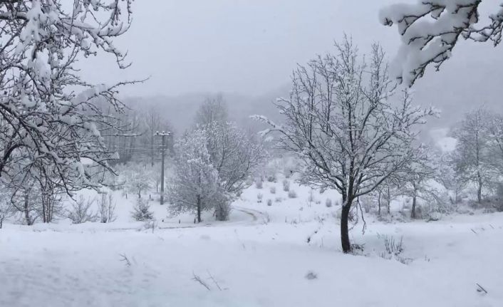 Kar yağışı, Dikmen Yaylası’nda seyrine doyumsuz manzaralar oluşturdu