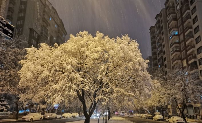 Kayseri’ye yılın ilk karı düştü