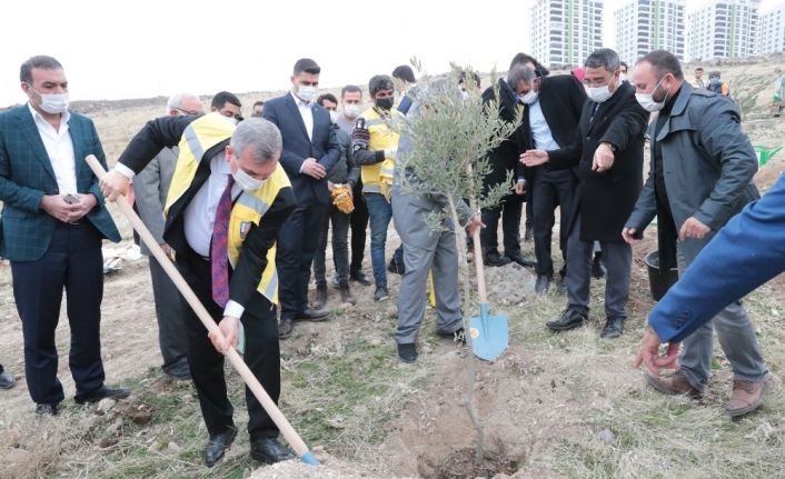 Şanlıurfa’daki yeni yerleşim alanlarında ağaç dikim seferberliği