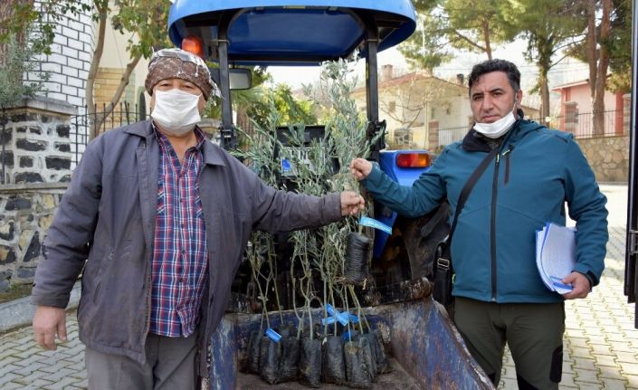 Aliağa Belediyesinden tarımsal kalkınmaya destek