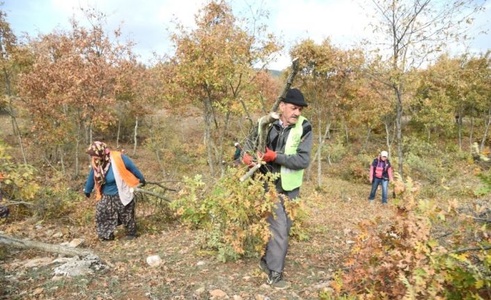 Alpu’da orman yatırımları yüzleri güldürüyor