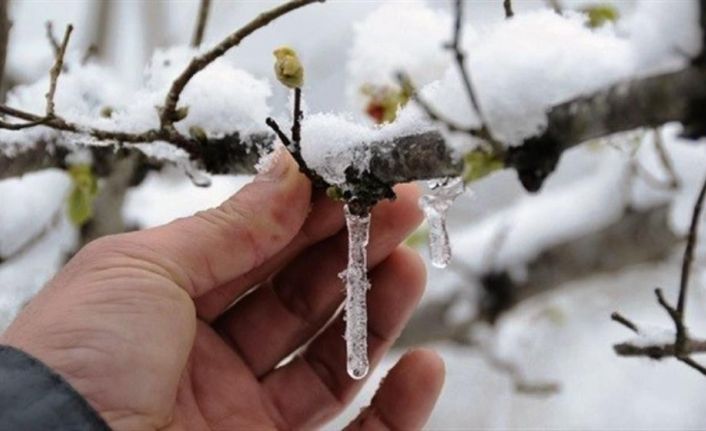 Aydın’da, Pazartesi’ye kadar zirai don bekleniyor