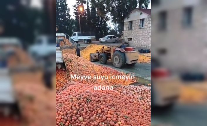 Çürümüş meyvelerin meyve suyu olmadığı ortaya çıktı