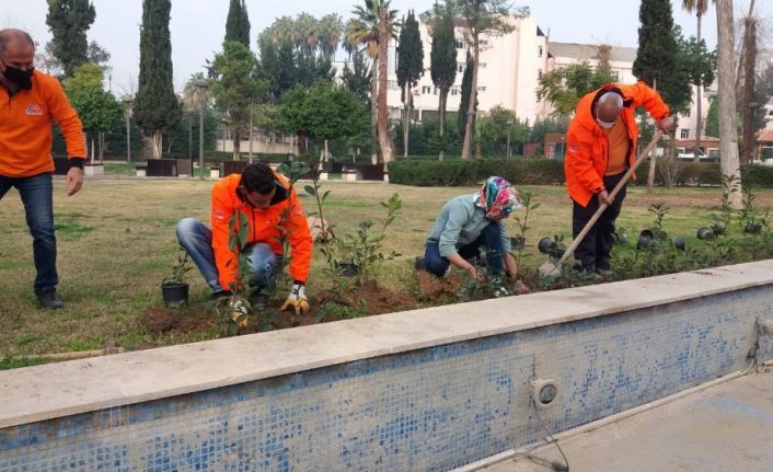 Doğasever kadın, çiçek eken büyükşehir personellerine yardım etti