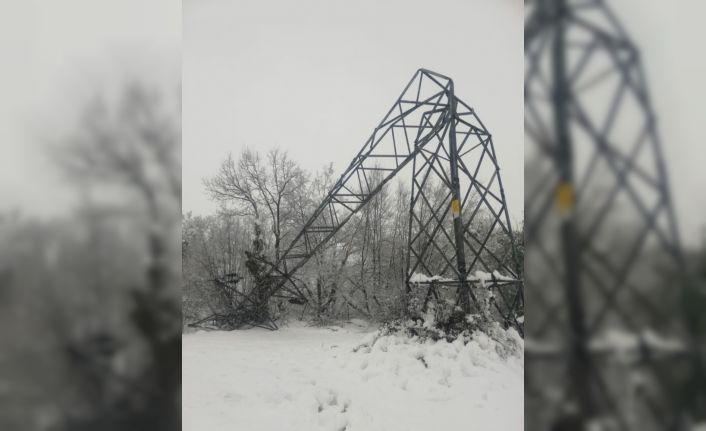 Elektrik direkleri devrildi, köylerde elektrik kesintileri yaşandı