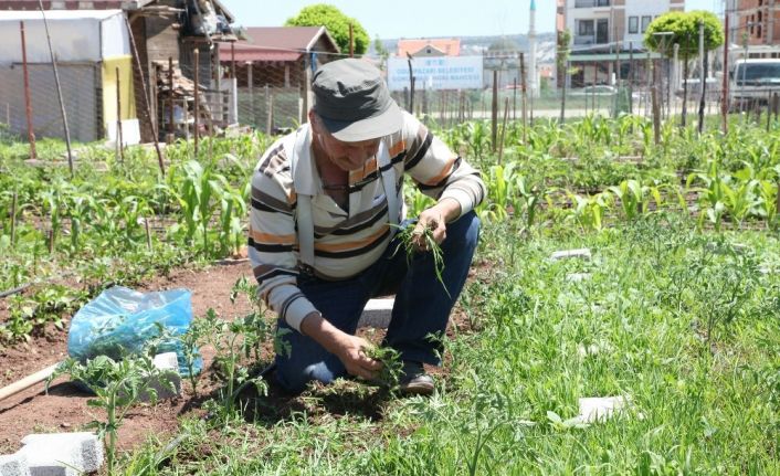 Hobi bahçeleri için kura çekilişi yapılacak