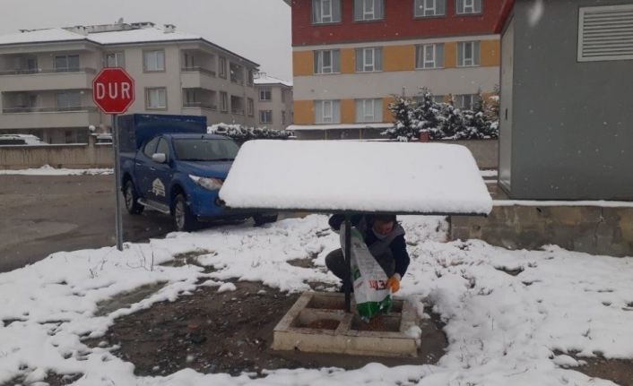 İnegöl Belediyesinden sokak hayvanlarına şefkat eli