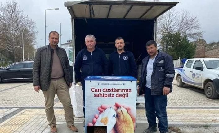 İznik’te can dostlarına yatırım devam ediyor