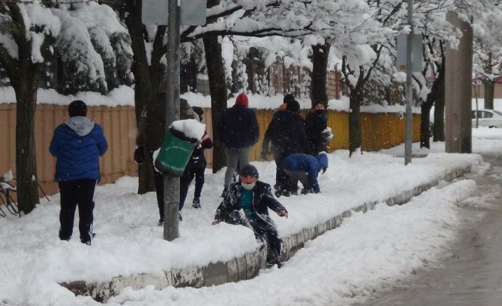 Kar yağışına dayanamayan ağaçlar kırıldı