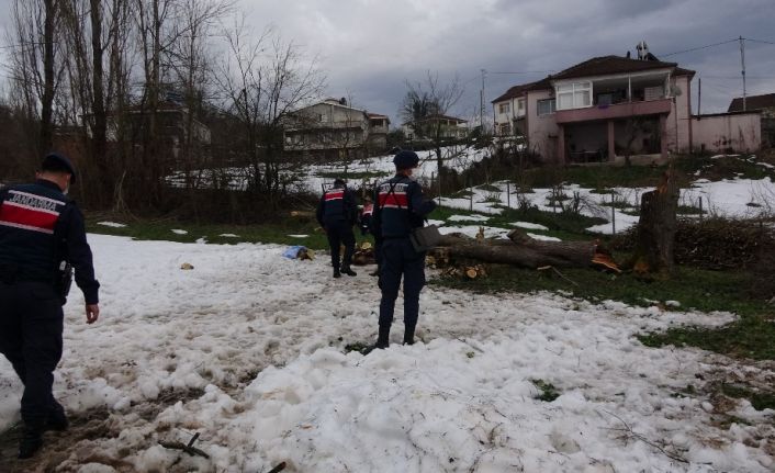 Kestiği ağacın altında kalarak hayatını kaybetti