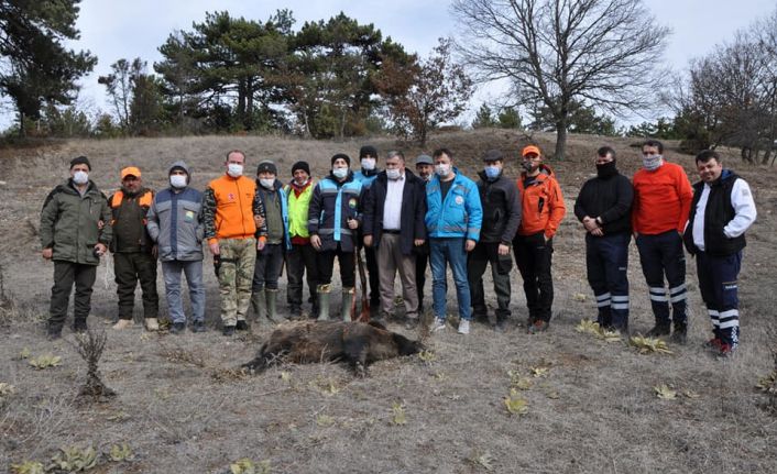 Kütahya’da yaban domuzu av sürecini başlatıldı