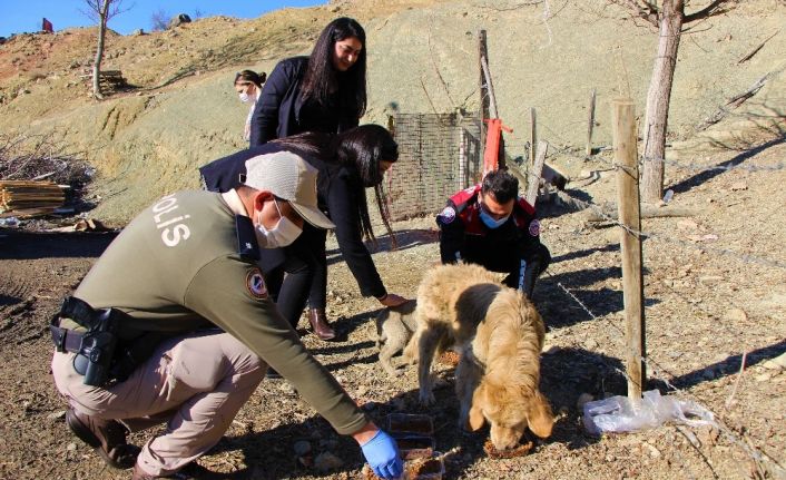 Polislerle hayvanseverler sokak hayvanlarına mama dağıttı