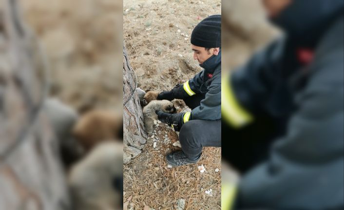 Rögarda mahsur kalan yavru köpek kurtarıldı