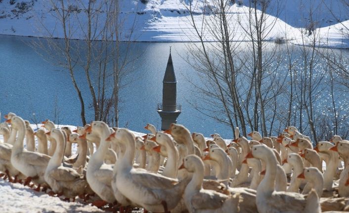 Şehir hayatı bunalttı, huzuru köyünde buldu