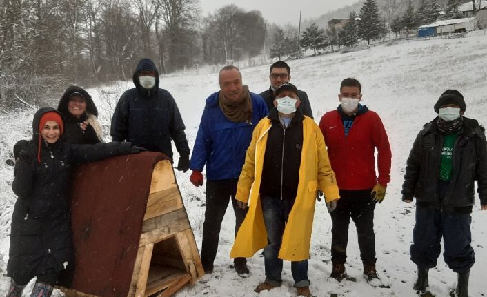 Soğuk havaya aldırış etmeden hayvanlara kulübe bıraktılar