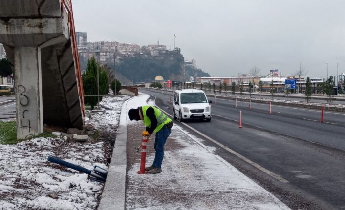 Zarar gören dubalar bakıma alındı