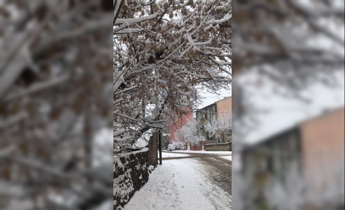 Ağrı’da kar yağışı kenti etkisi altına aldı