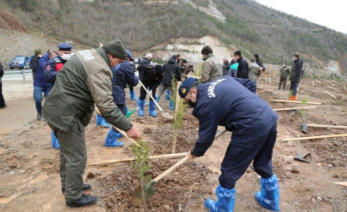 Artvin’de fidanlar toprakla buluştu