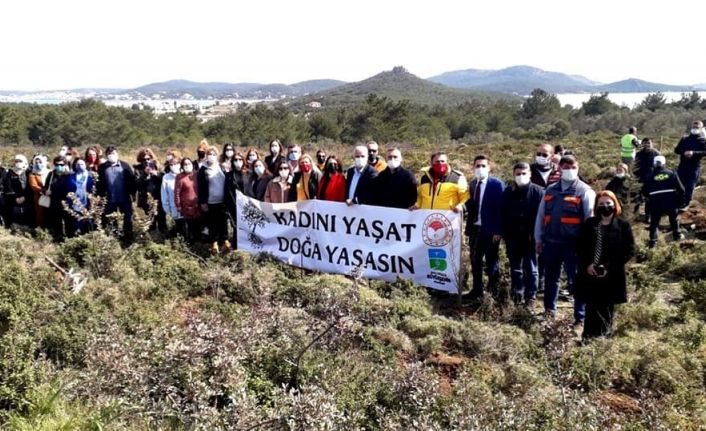 Ayvalık’ta AK Partili kadınlardan “Güçlü Kadınlar Koruluğu”