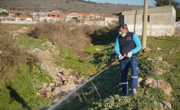 Ayvalık’ta sivrisinekle 365 gün mücadele