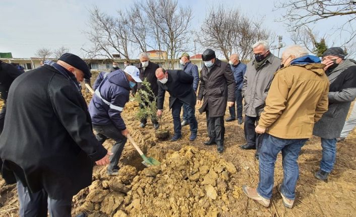 Babalı Sahili’ne anlamlı hatıra ormanı