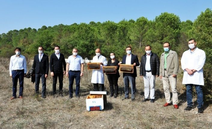 Balıkesir Üniversitesi, bölge hayvancılığına güç katıyor