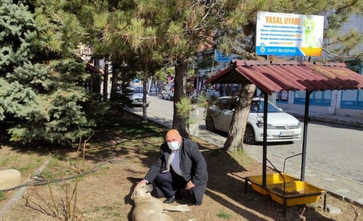 Bayat Belediyesi sokak hayvanlarını unutmadı