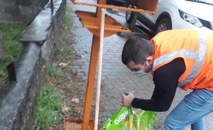 Belediye’den hayvan koruma görevlisi eğitimi