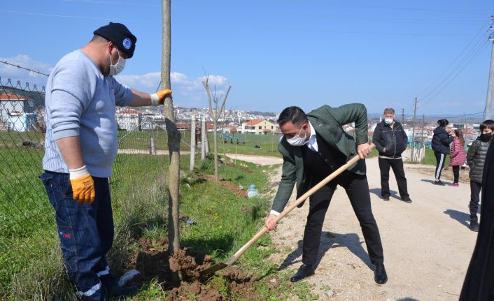 Biga Yeniceköy mahallesi ağaçlandırıldı