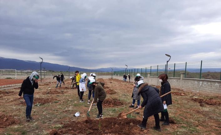 Bingöl’de bin 200 adet fidan toprakla buluşturuldu