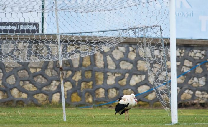 Binlerce kilometre geldi stadyuma kondu