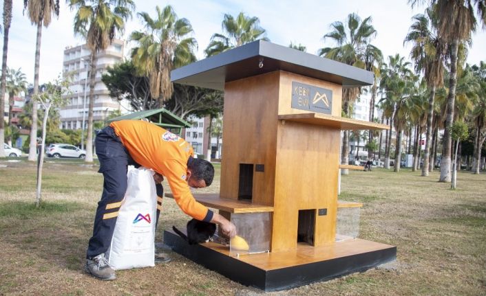 Büyükşehir Belediyesinden ‘Miyav Park’ açıklaması