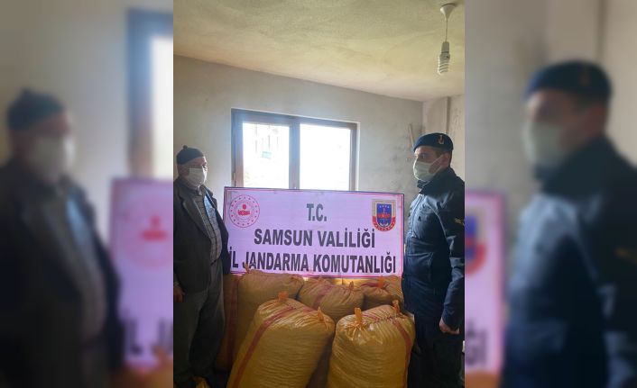 Çalınan 700 kilogram fındık ele geçirildi