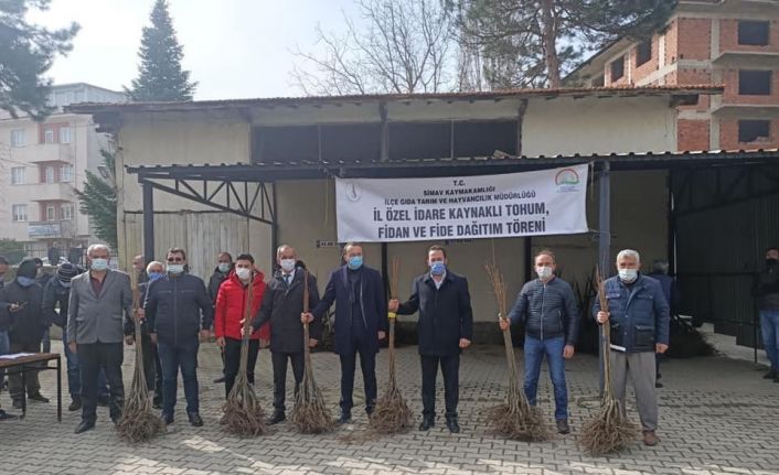 Çiftçiye bin 300 adet ücretsiz kestane fidanı