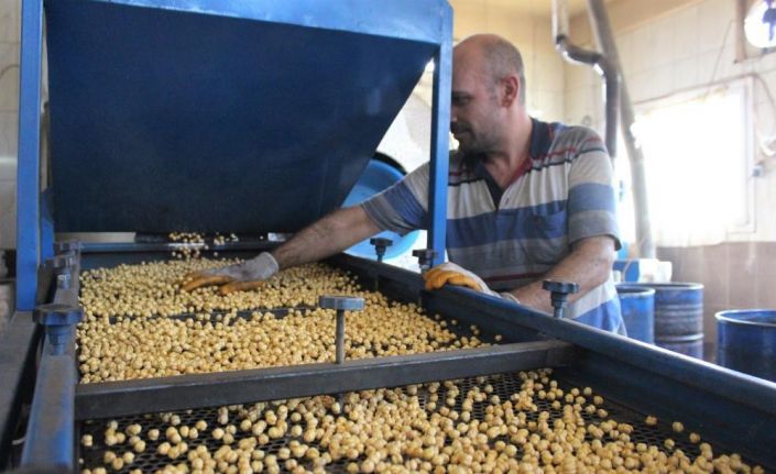 Denizli’de leblebi ve kuruyemişçiler için yeni karar