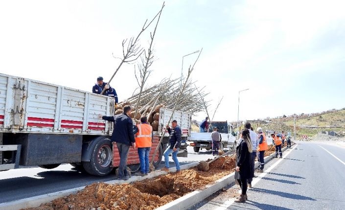 Diyarbakır’ın ilçeleri yeşilleniyor