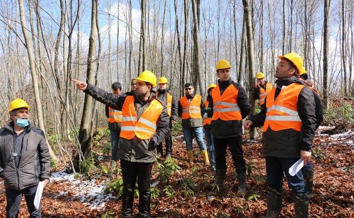 Düzce’de silvikültür uygulamaları yapıldı