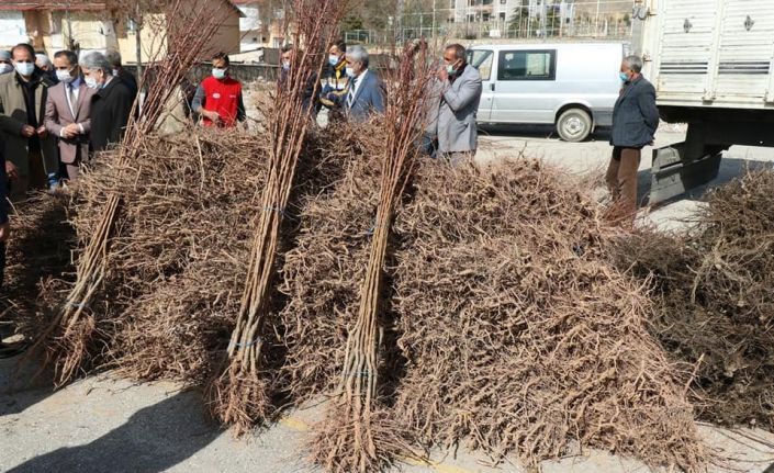 Elazığ’da "Meyveciliği Geliştirme" projesi, 13 bin fidan dağıtıldı