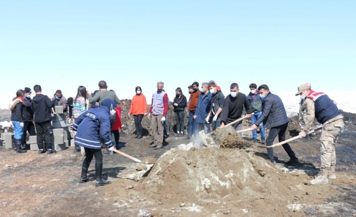 Erciş’te sokak hayvanları sıcak yuvalarına kavuştu